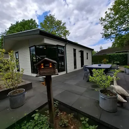 5-person Forest Near - Recreational Only 木屋 *